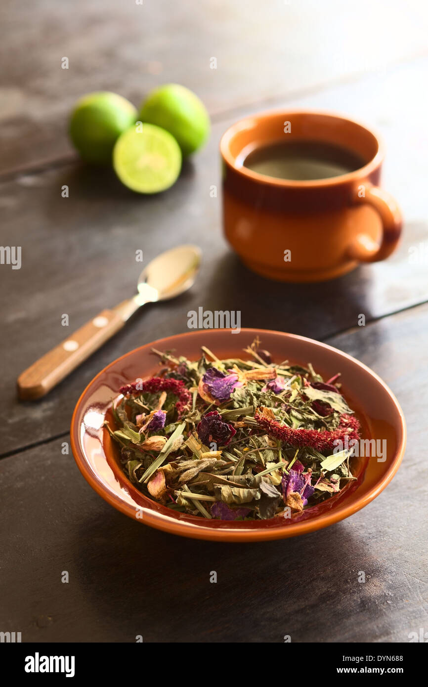 Horchata, a traditional Ecuadorian tea made of 28 different herbs Stock Photo