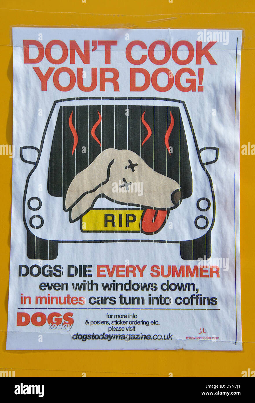 Don't Cook Your Dog poster, England, UK Stock Photo