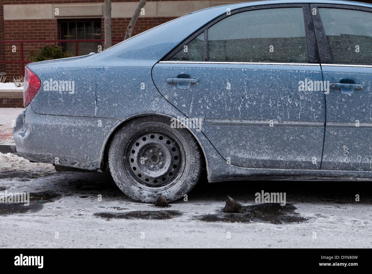 Car covered in dried road salt brine USA Stock Photo Alamy