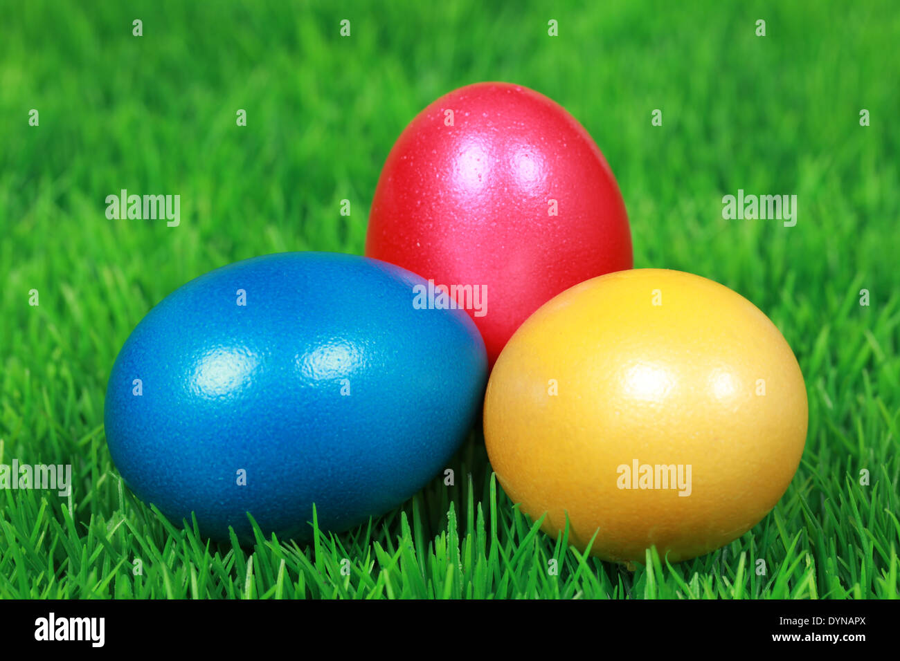 Colorful Easter eggs on a green meadow Stock Photo