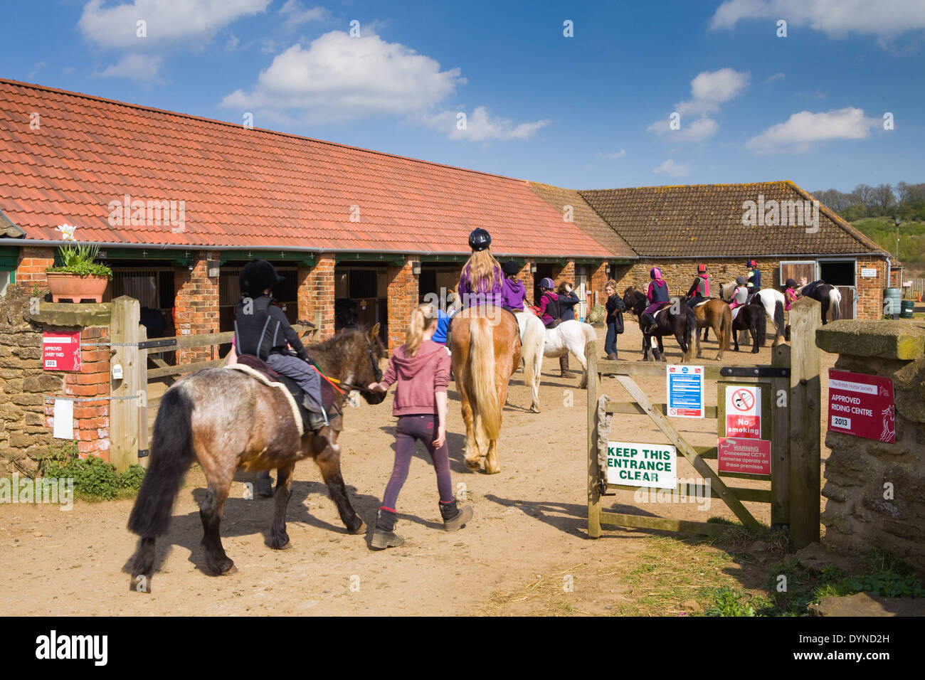 Horse Yard High Resolution Stock Photography and Images Alamy