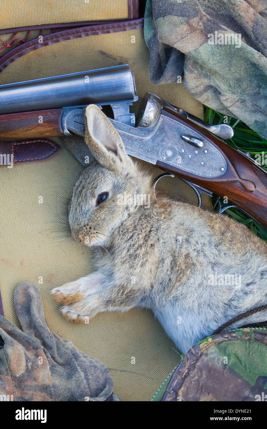 Dead rabbit blood hi-res stock photography and images