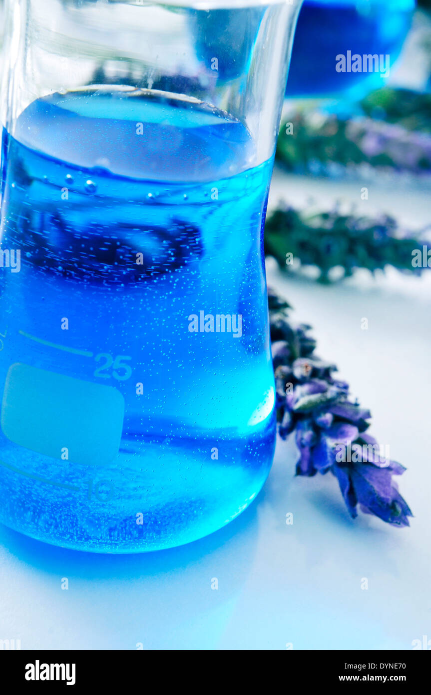 closeup of a flask with flower essence and a pile of lavender flowers Stock Photo