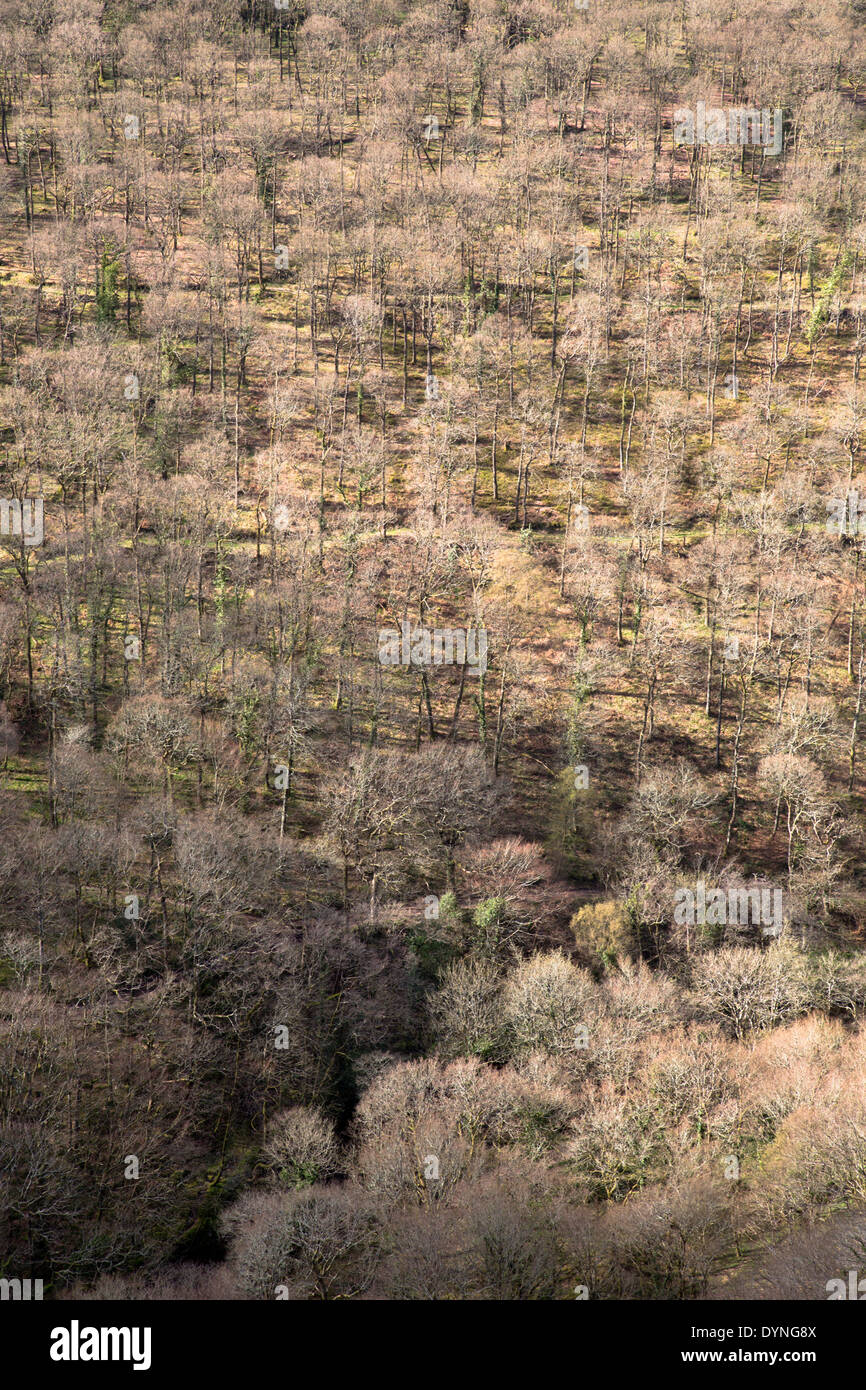 Teign Valley; Castle Drogo; Devon; UK Stock Photo