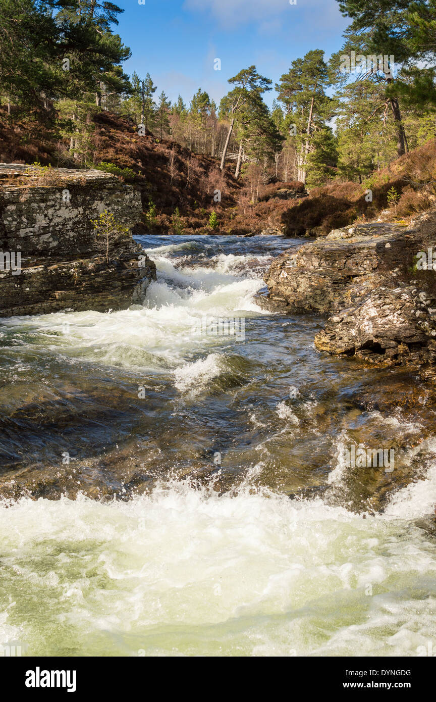 Clear mountain streams and streamlets. A Rocky stream east of the