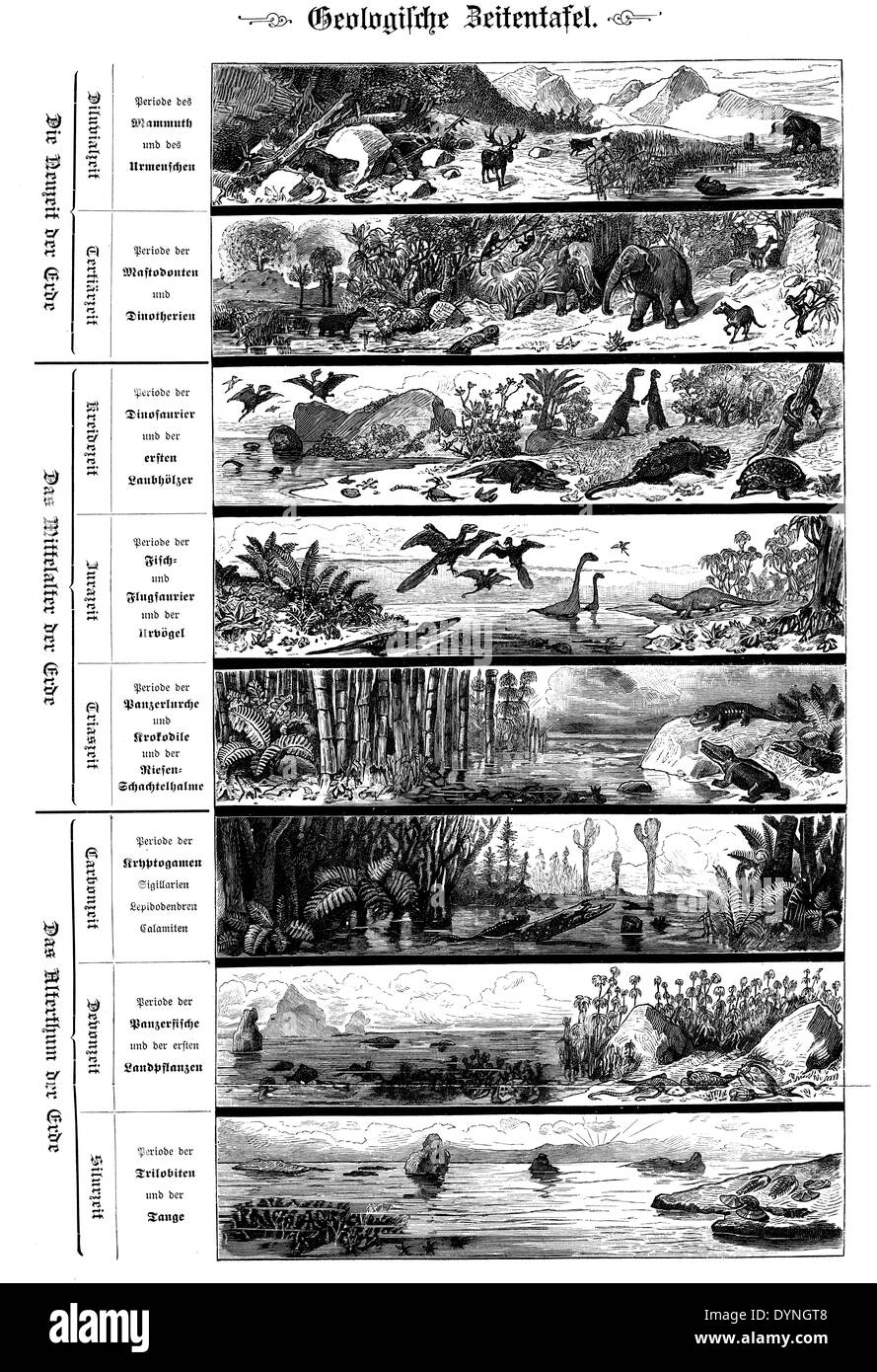 Geological timeline stock image vector ilration timeline black history