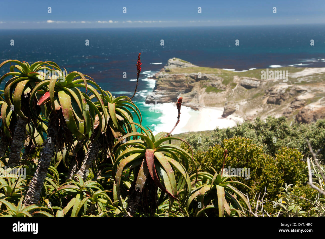 Cape of Good Hope, Cape Point, Cape Town, Western Cape, South Africa Stock Photo