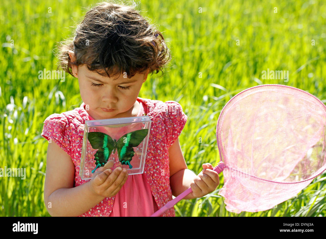 Little girl. 3 4 years old. Hunting butterflies. Stock Photo