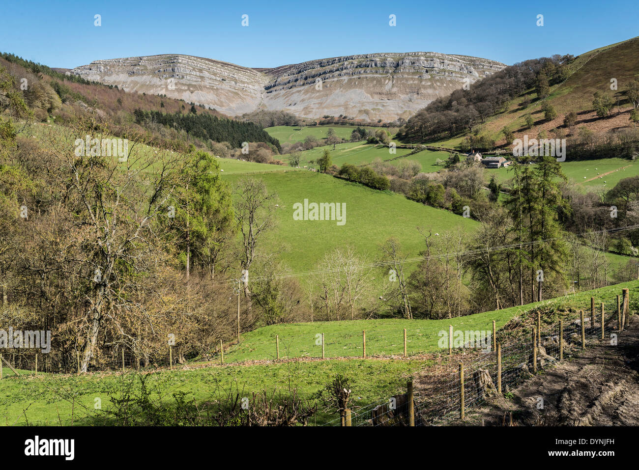 The cliffs high above the panorama walk at Llangollen in Denbighshire North Wales. Stock Photo