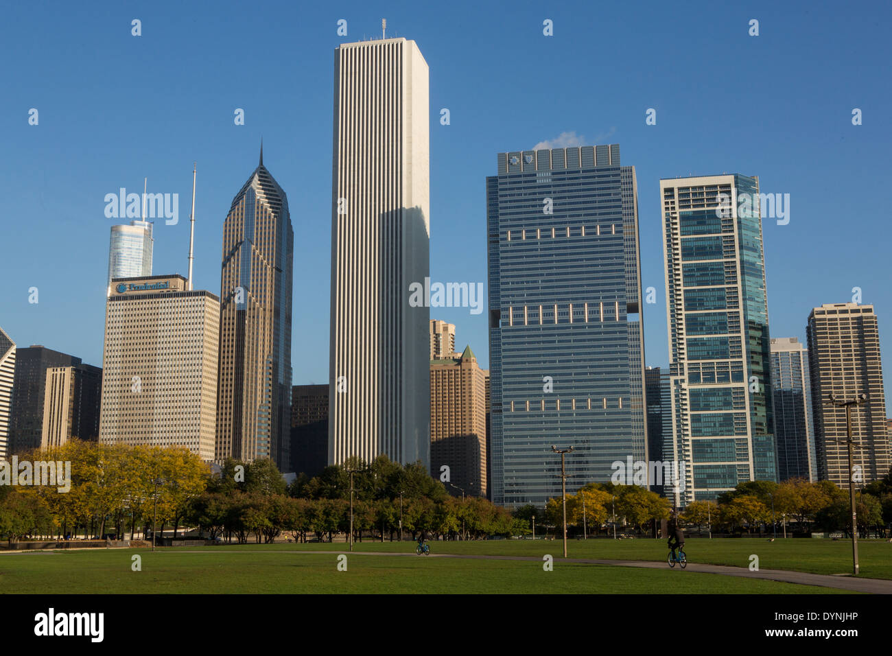 Skyline of downtown from Grant Park in Chicago, Illinois USA Stock ...