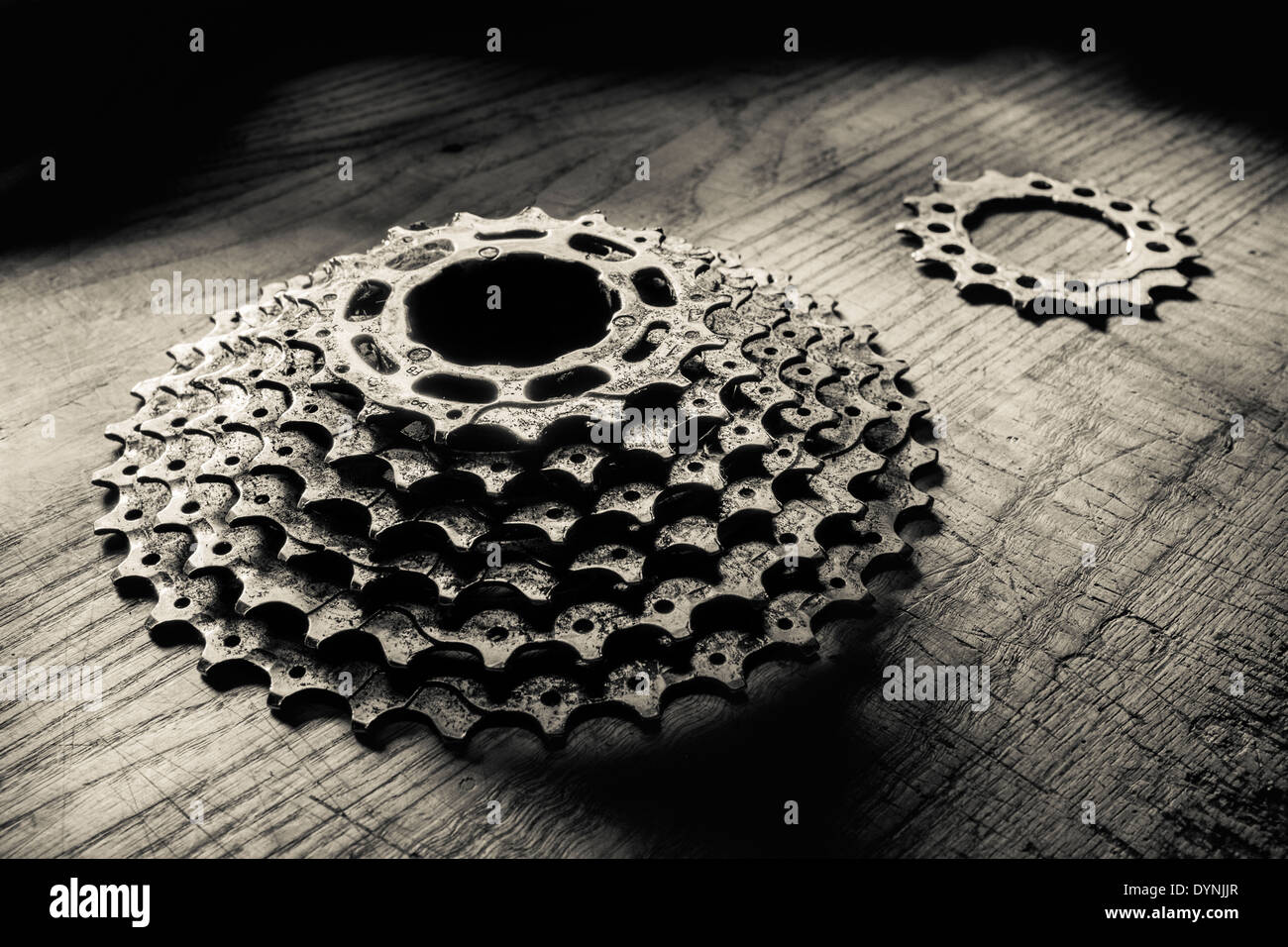 Bicycle drive cassette and cog. Stock Photo