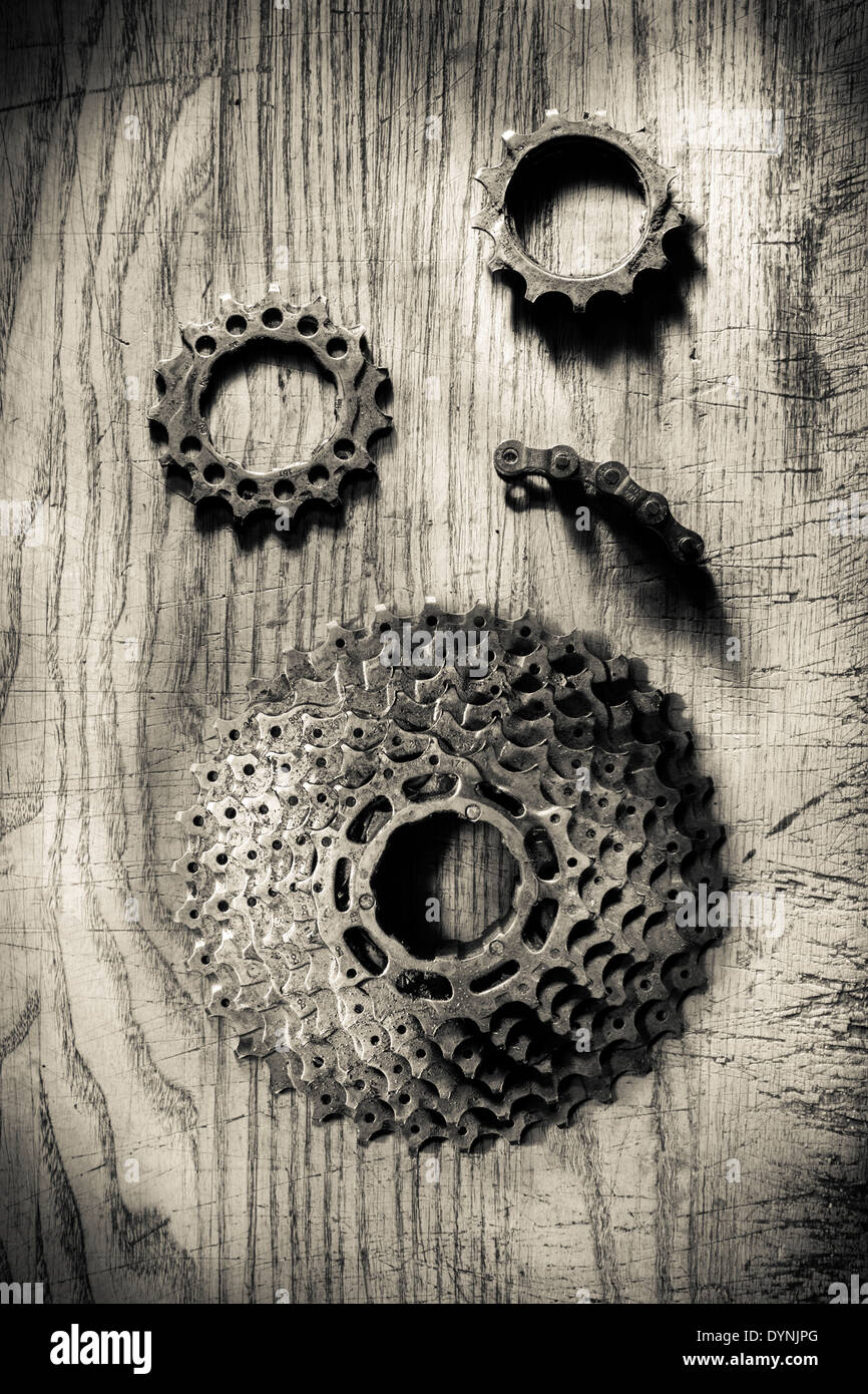 Bicycle drive cassette and chain. Stock Photo