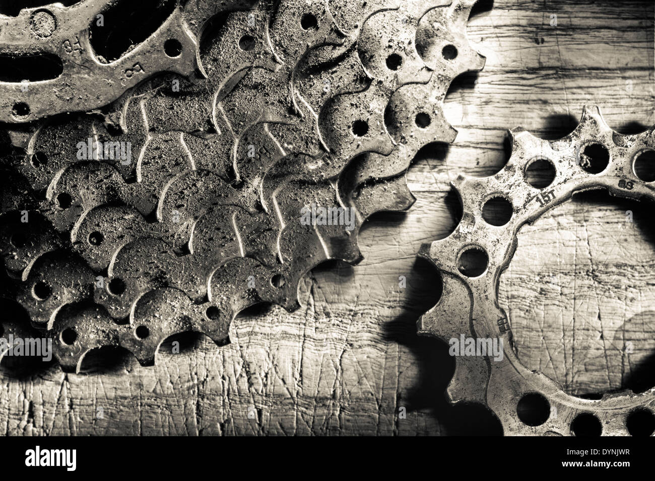 Bicycle drive cassette and cog. Stock Photo