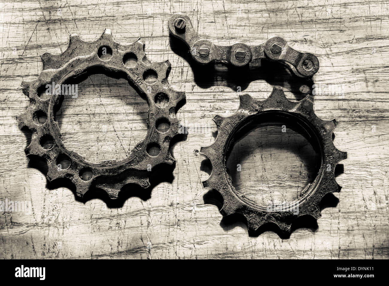 Bicycle drive cogs and chain. Stock Photo