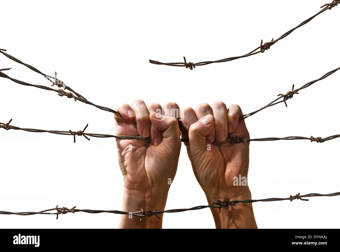 hand behind barbed wire on the white background Stock Photo