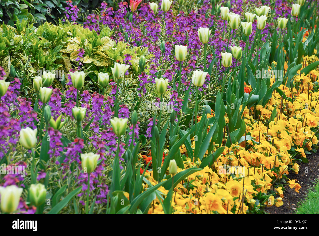 Formal flower bed hi-res stock photography and images - Alamy