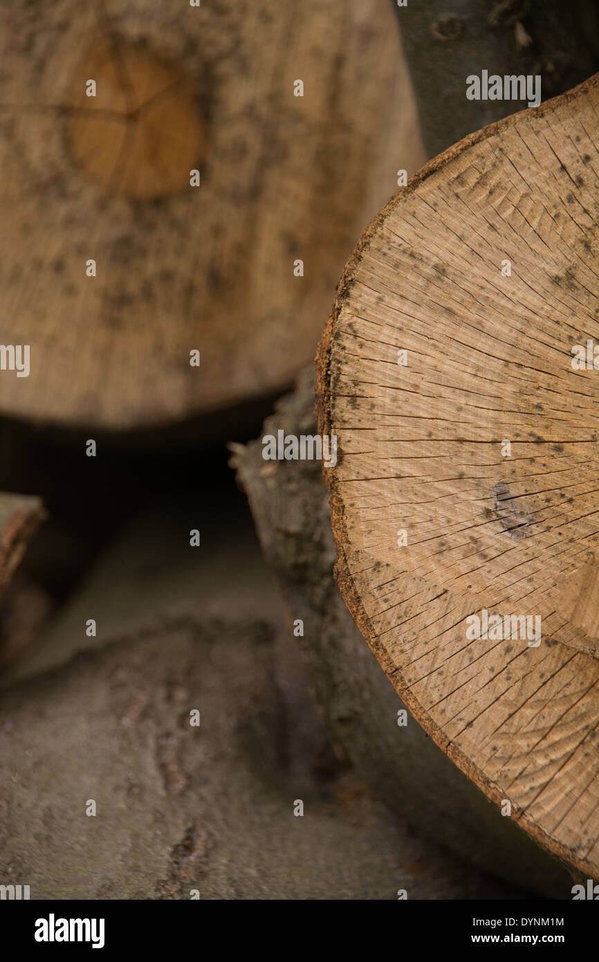 Close up of sawn log detail amongst a log pile. Stock Photo