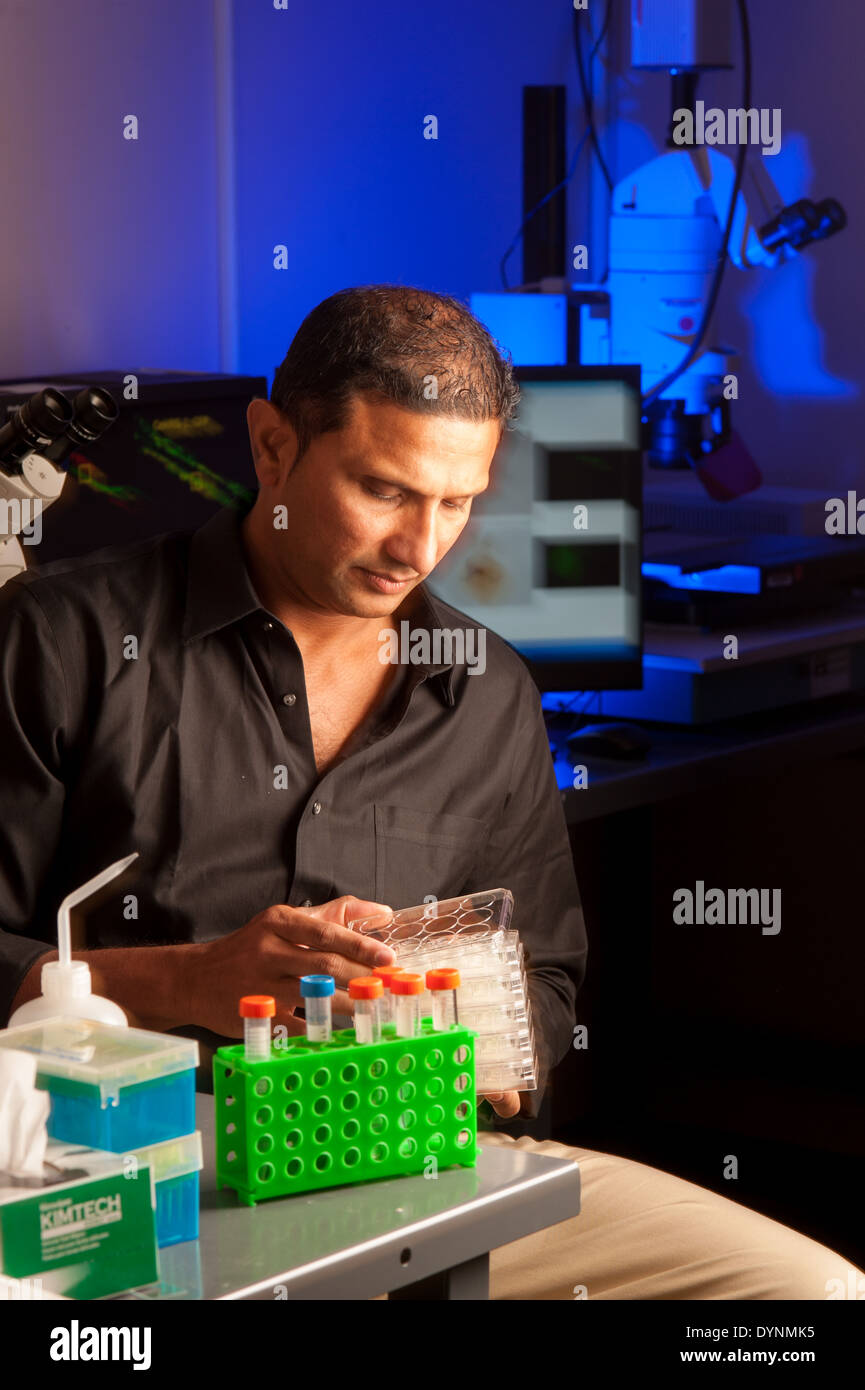 Scientist in lab University of Maryland Stock Photo