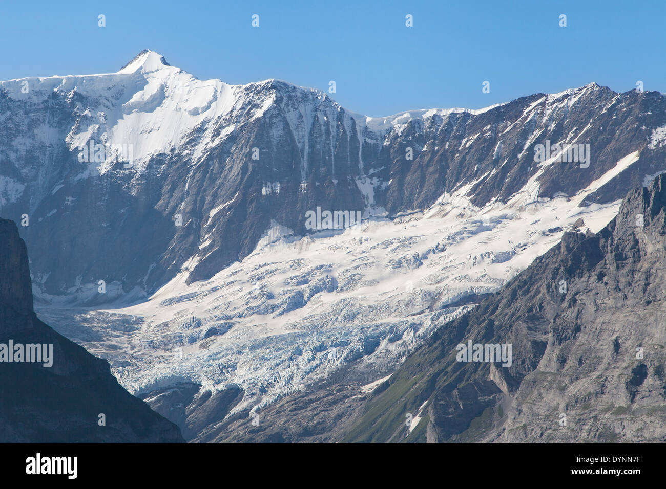 Fiescherhorn peak and Ischmeer glacier in Grindelwald, Swiss Alps. Stock Photo
