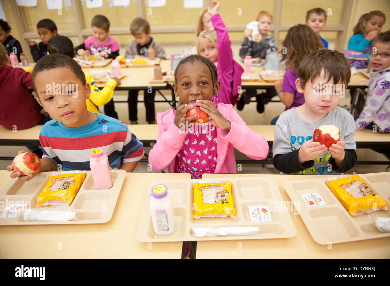 https://c8.alamy.com/comp/DYNN8J/elementary-school-children-sitting-at-tables-eating-apples-in-a-cafeteria-DYNN8J.jpg