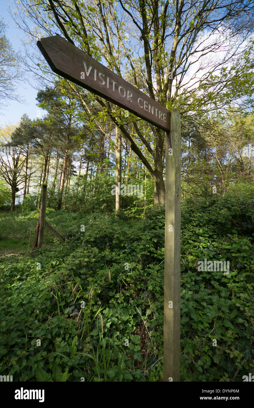 Wooden sign directing the way to the visitor centre at Hanningfield Reservoir, UK. Stock Photo