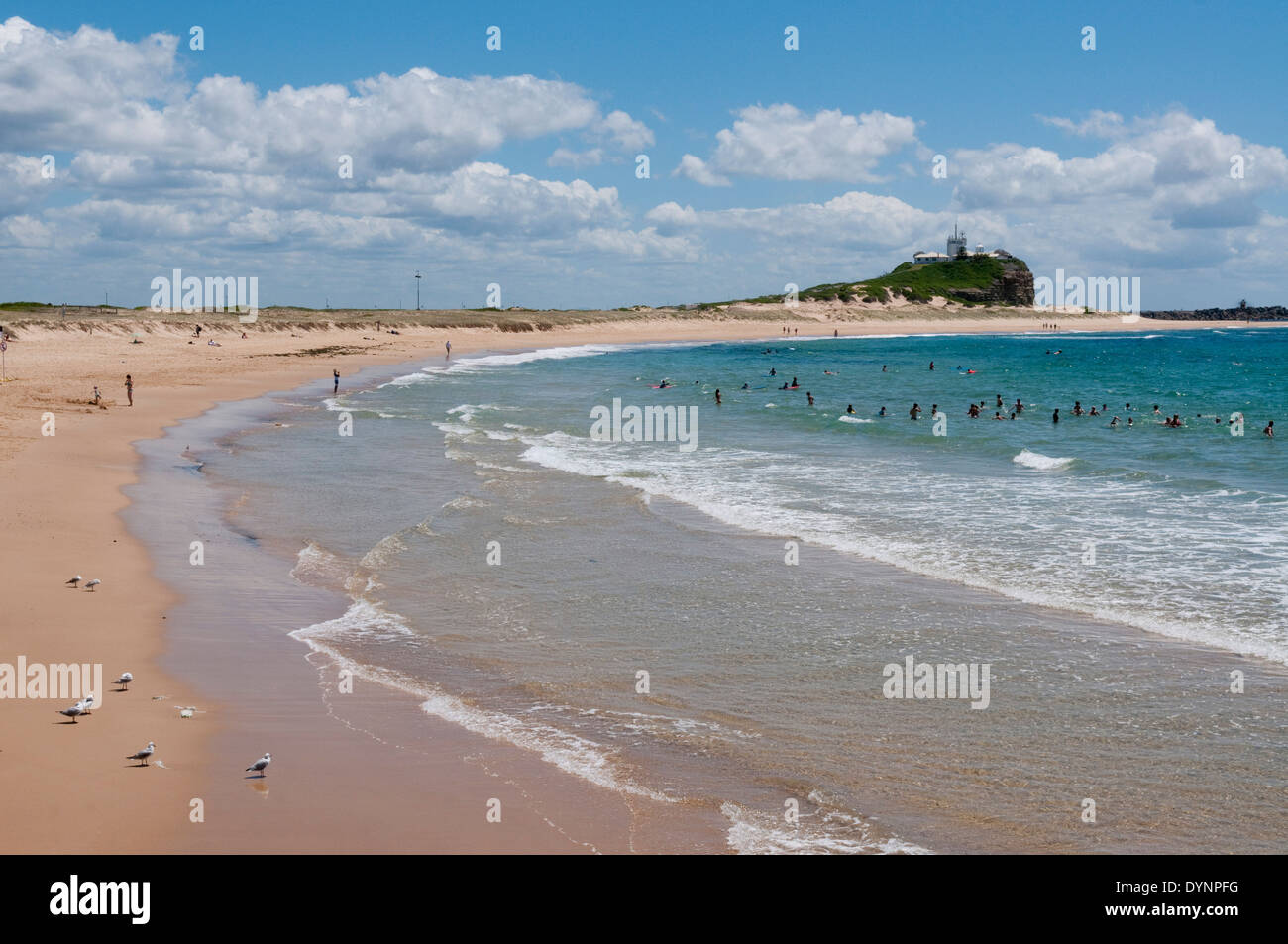 Nobbys Beach, Newcastle, New South Wales, Australia Stock Photo Alamy