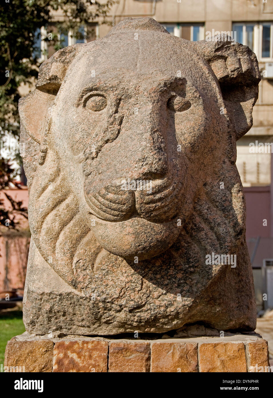 Egyptian Museum of Cairo.A head of a lion in the courtyard of the Museum. Stock Photo