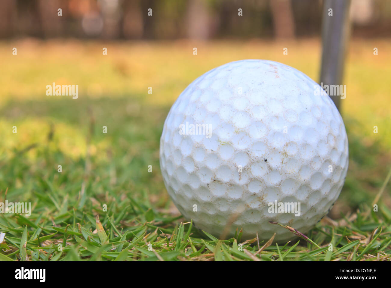 Golf ball on grass lip of the hole Stock Photo Alamy