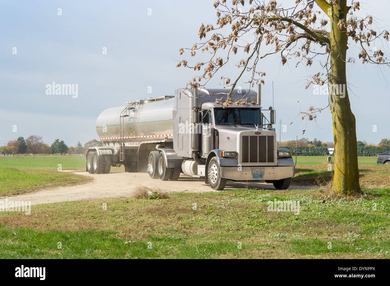 Tractor trailer milk truck in Ridgely, Maryland Stock Photo
