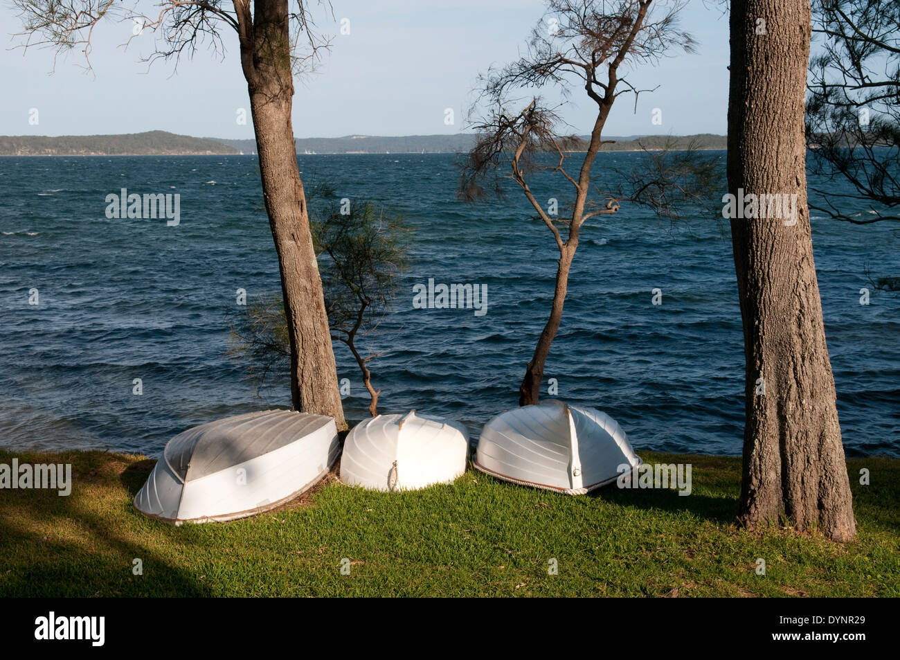 Lake Macquarie, Balcolyn, New South Wales, Australia. Stock Photo