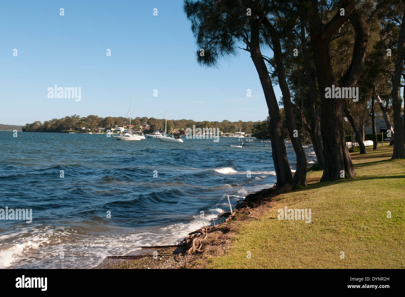 Lake Macquarie, Balcolyn, New South Wales, Australia. Stock Photo