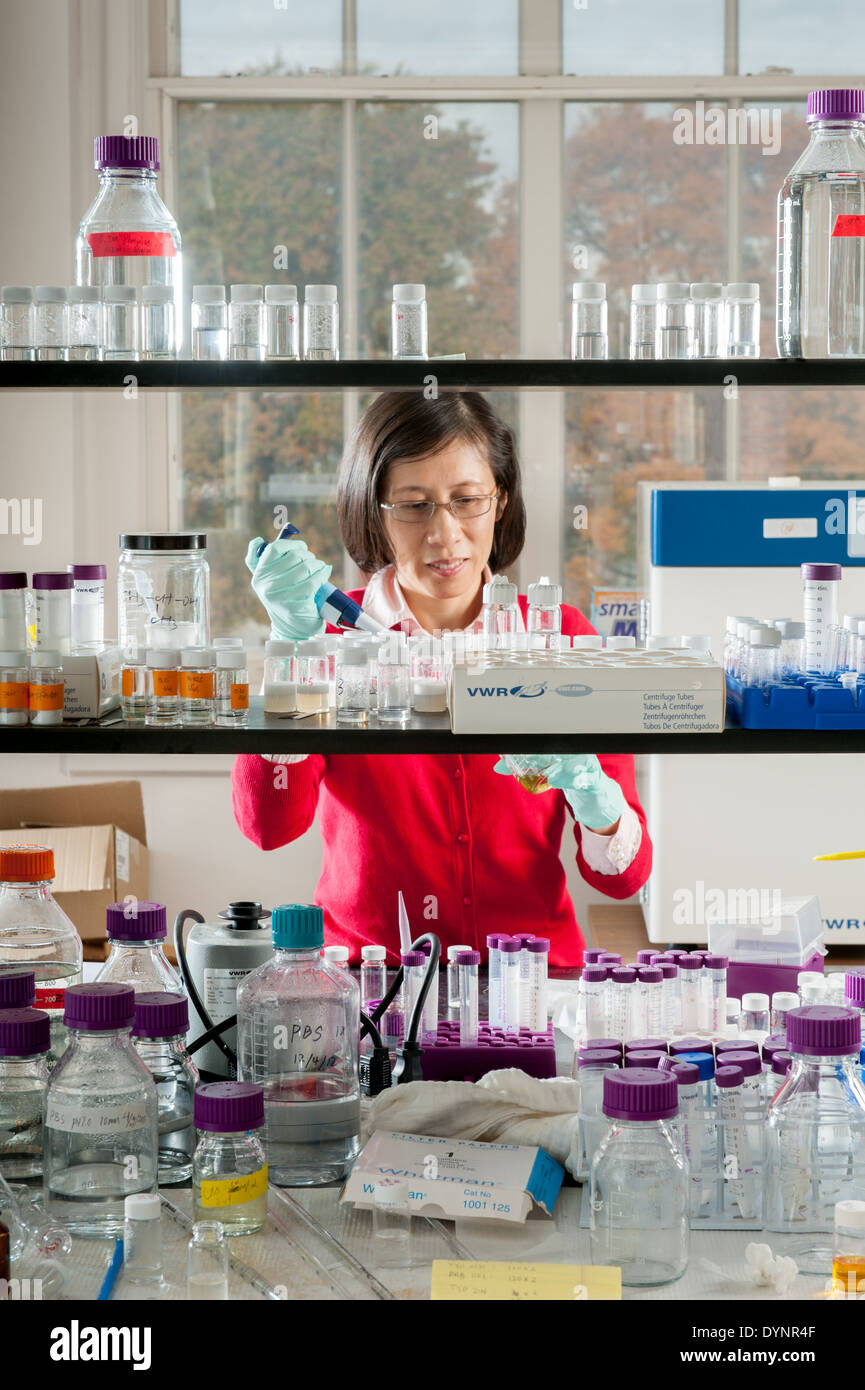 Scientist working in Lab College Park, Maryland Stock Photo