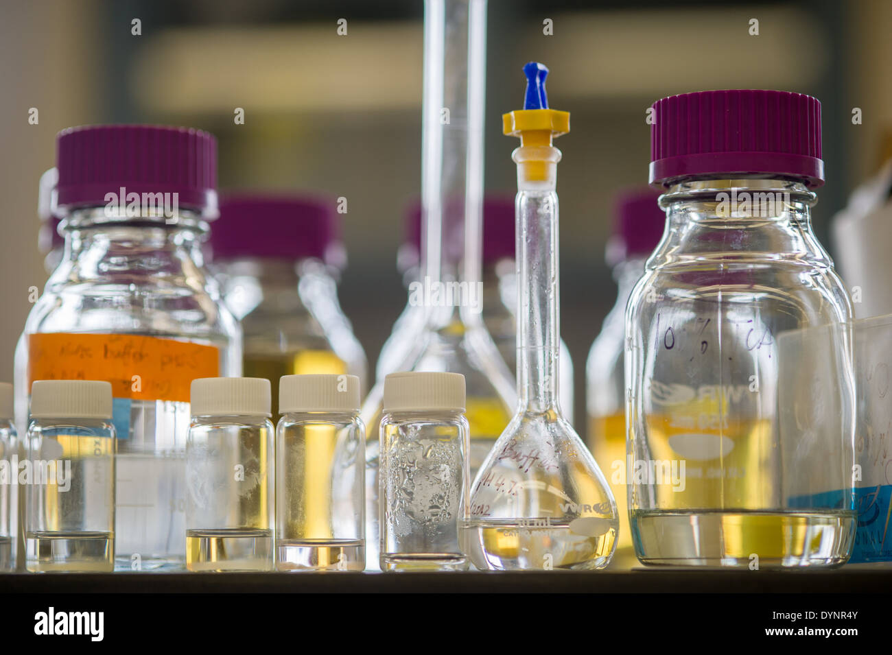 Glass containers in a lab College Park, Maryland Stock Photo Alamy