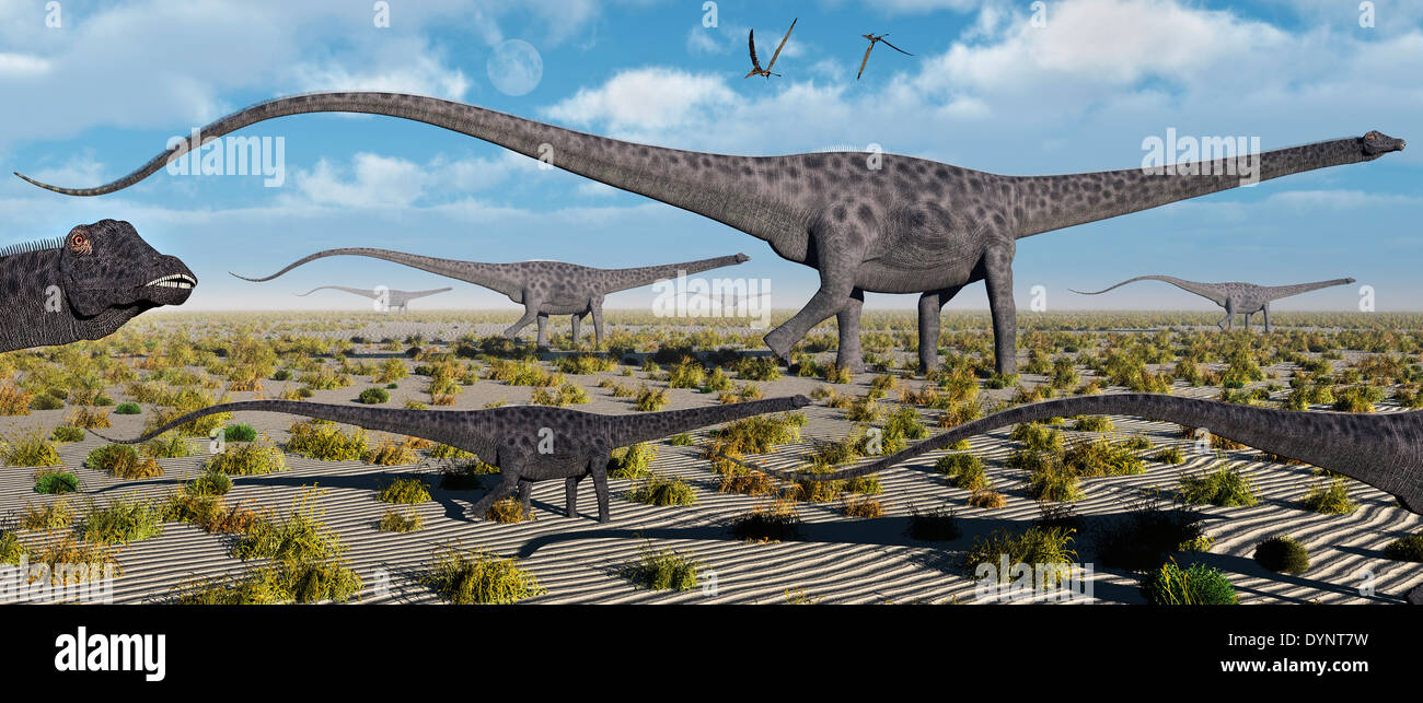 A Herd Of Diplodocus On The Move. Stock Photo