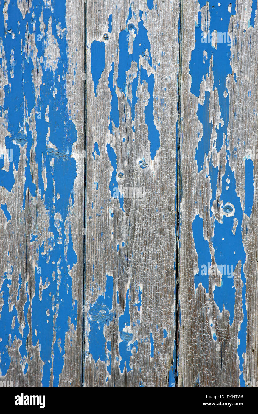 Blue chipped and peeling paint on a wooden shed Stock Photo