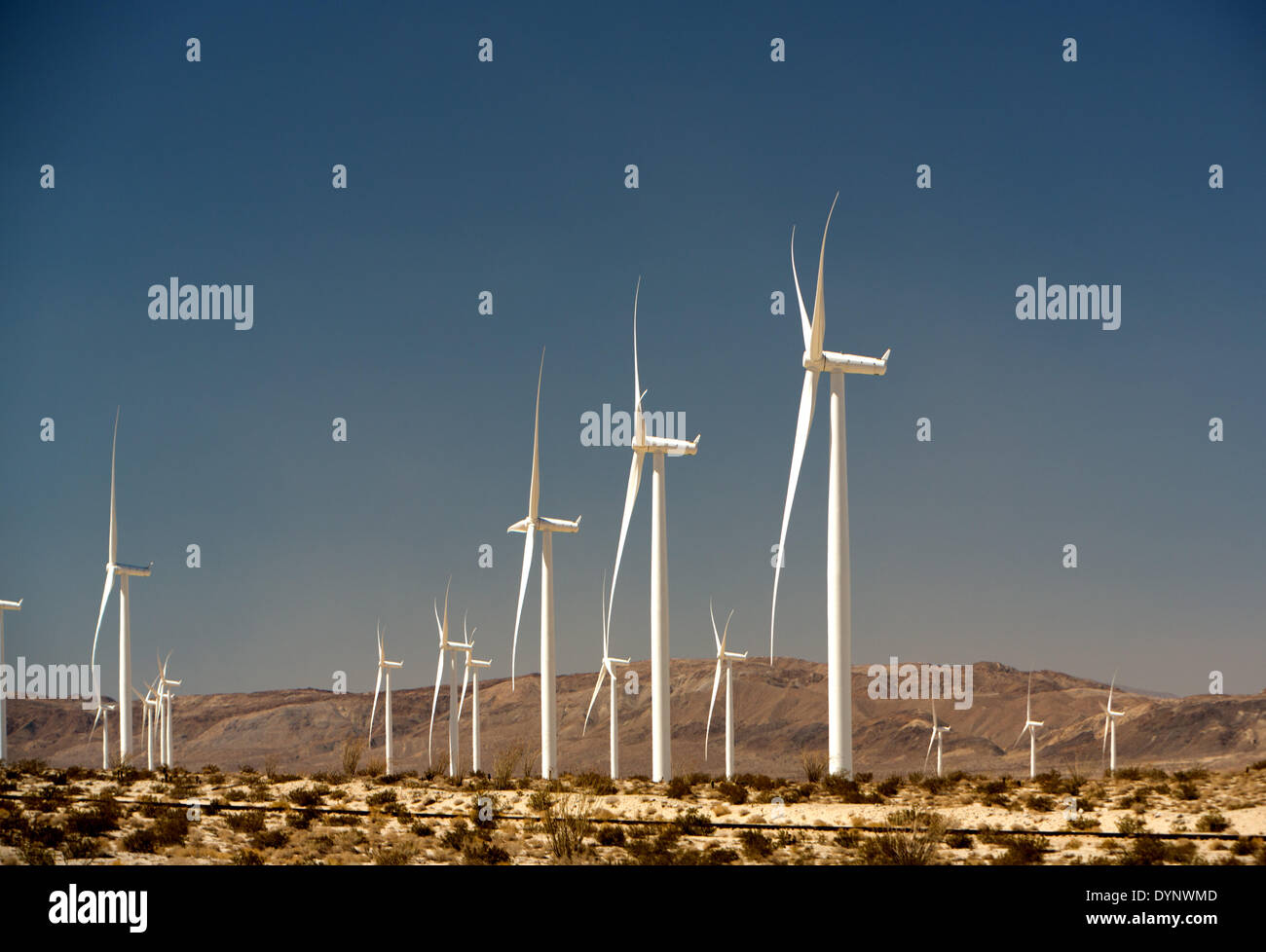 112 Siemens wind turbines at the Ocotillo Wind Energy Facility