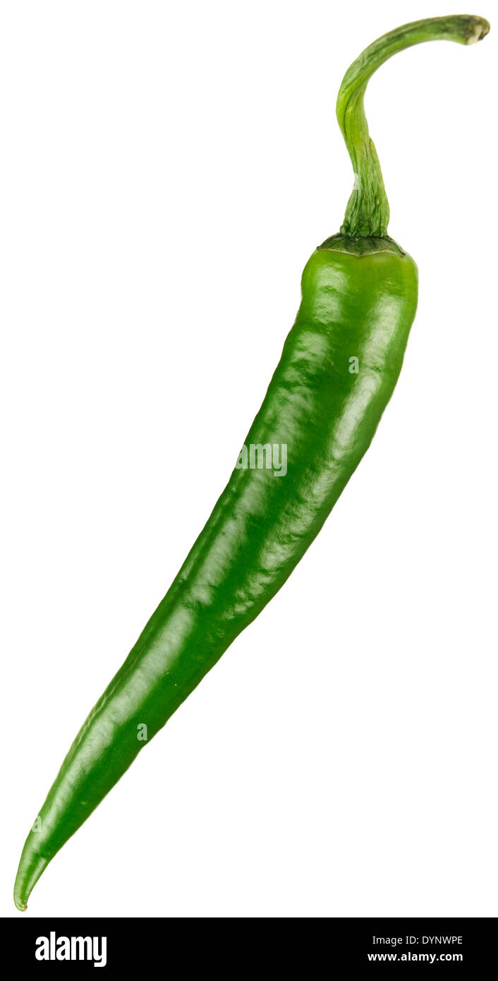 A GREEN CHILI PEPPER ON A WHITE BACKGROUND Stock Photo