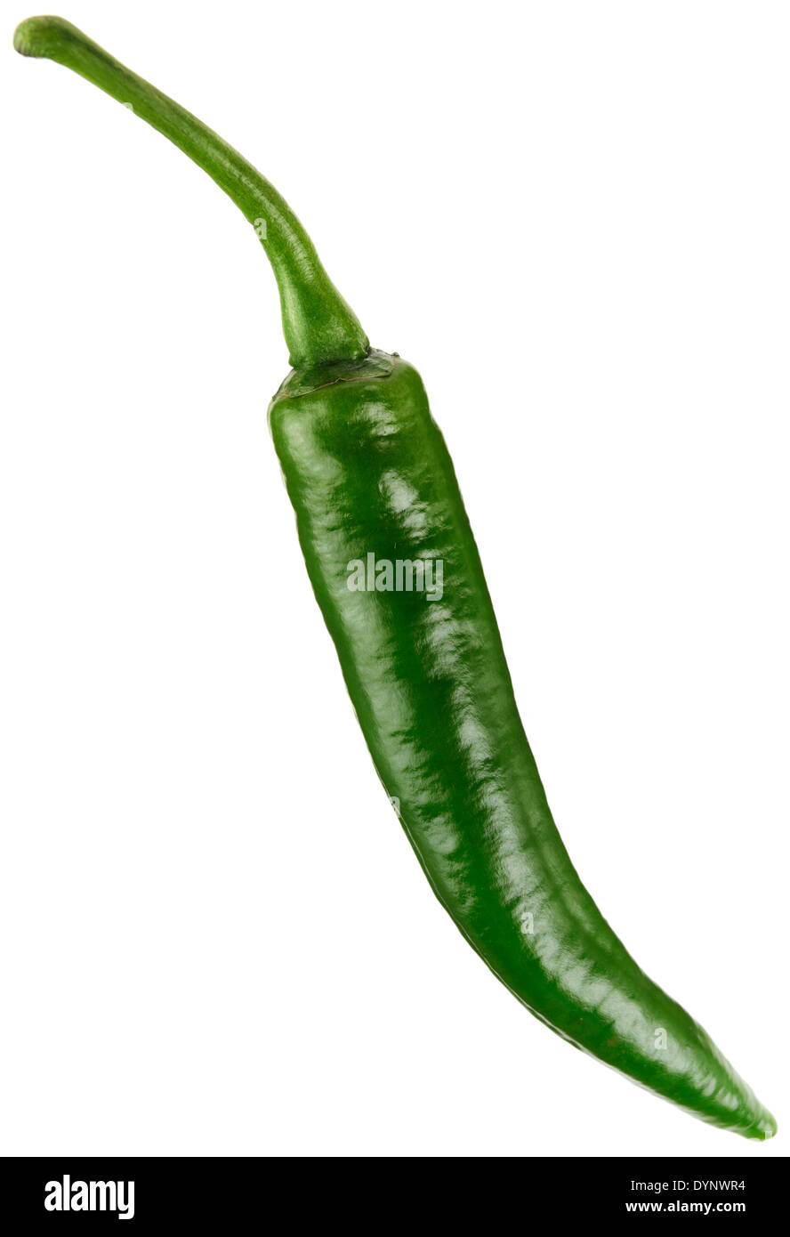 A GREEN CHILI PEPPER ON A WHITE BACKGROUND Stock Photo