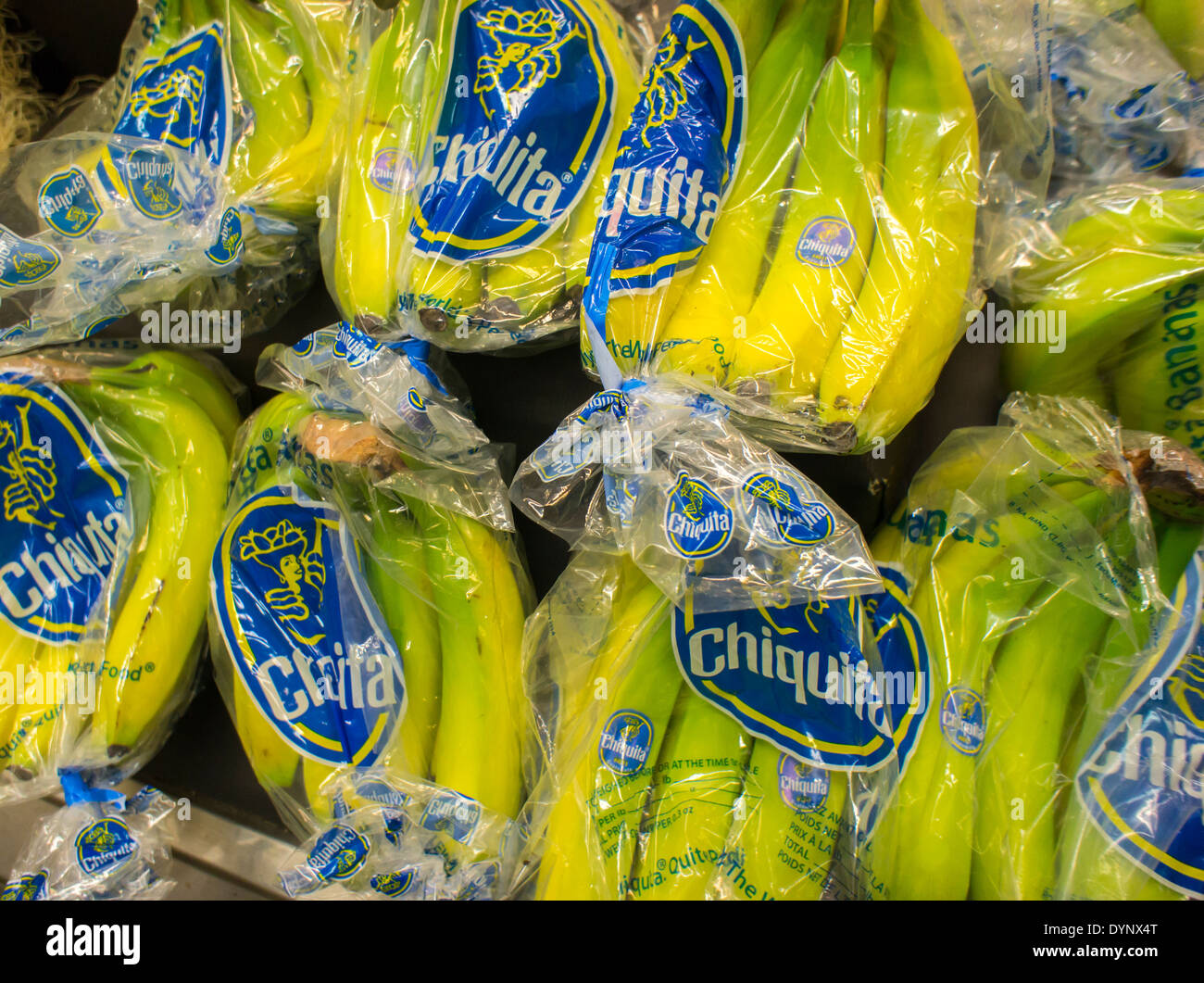 Chiquita Bananas Hi res Stock Photography And Images Alamy chiquita-bananas-hi-res-stock-photography-and-images-alamy