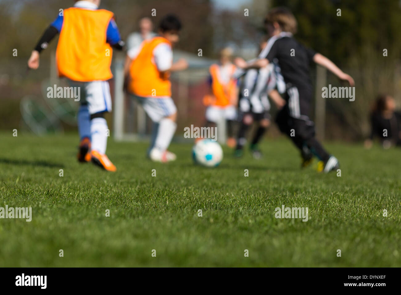 Two teams of children playing a match of soccer during summer time. Stock Photo