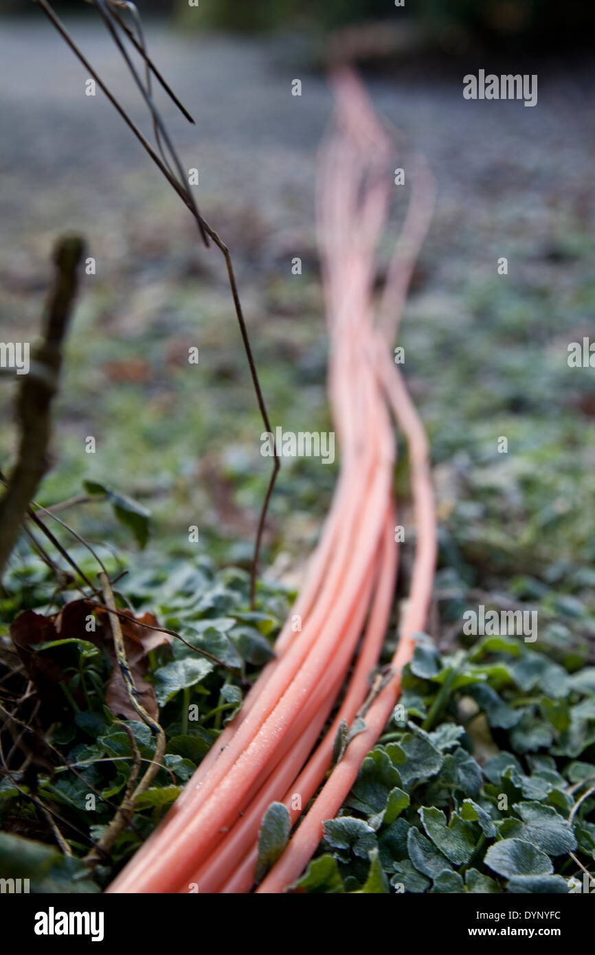 Fibre optic ducting for B4RN in the Lune Valley, Lancashire Stock Photo