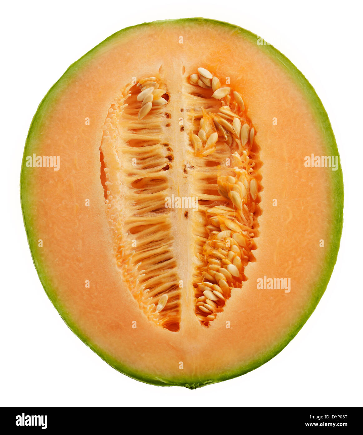 Honeydew Fruit Skin