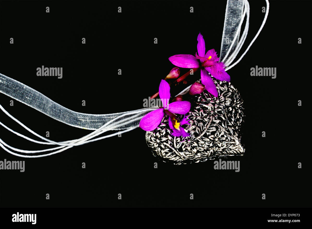 mauve orchids on ornate silver locket with organza necklace Stock Photo