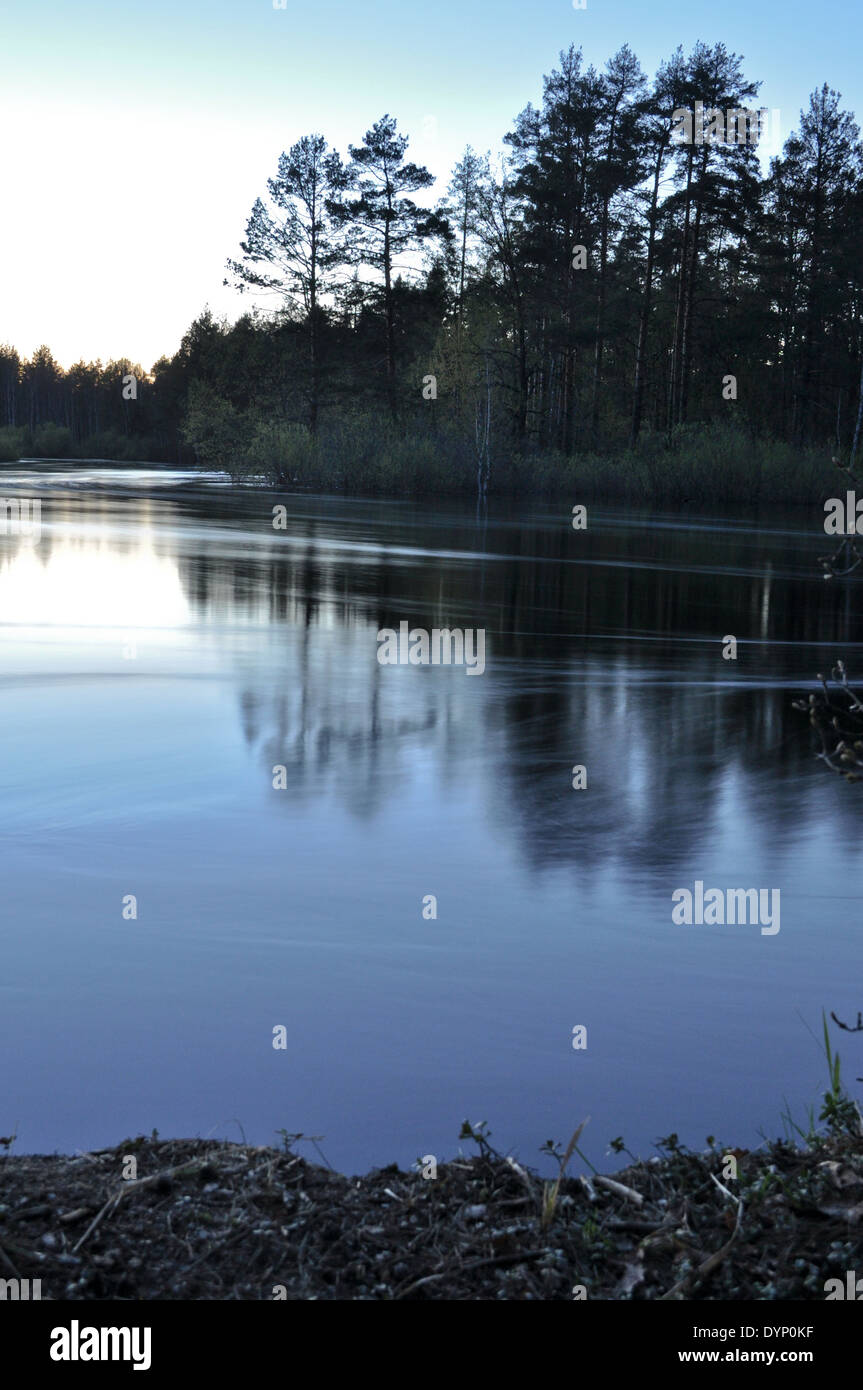 Landscape with pine trees on the banks of the river after sunset ...