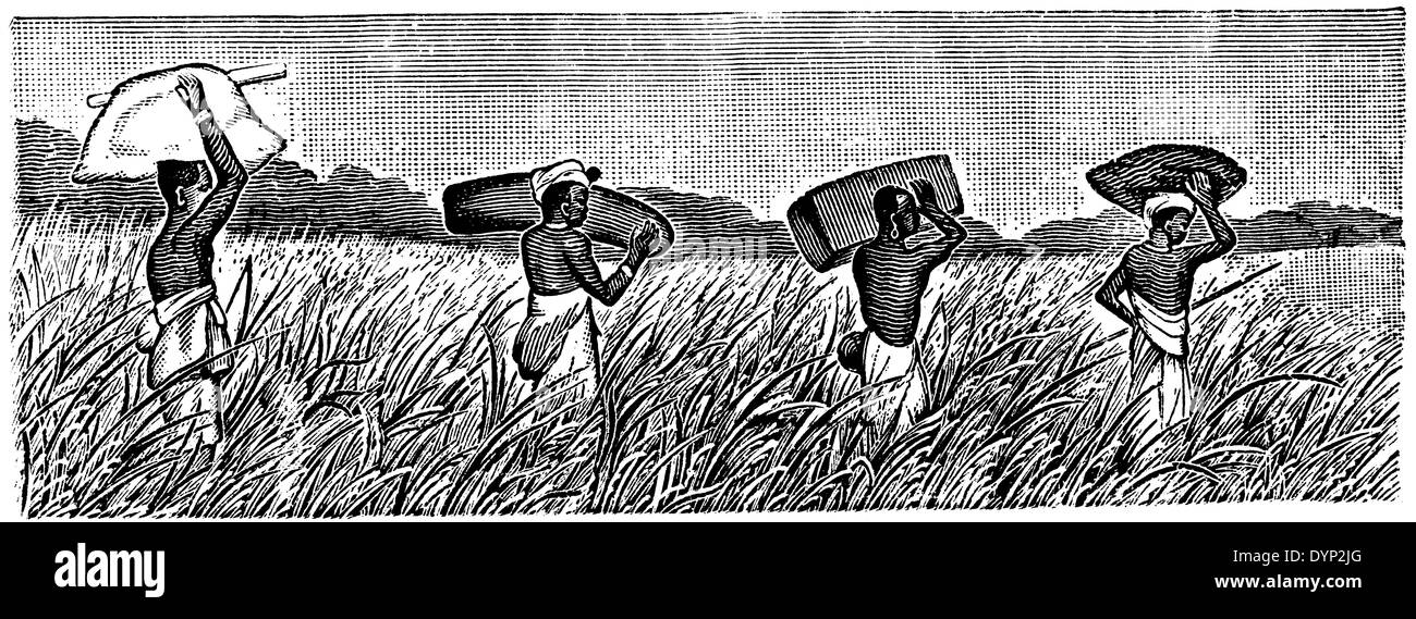 Baggage bearers, Africa, illustration from Soviet encyclopedia, 1926 Stock Photo
