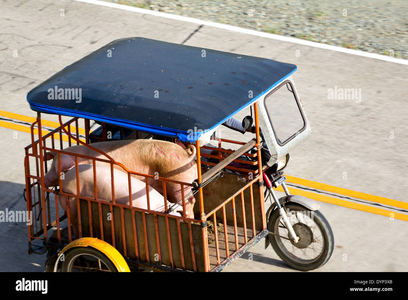 Typical Tricycle in Puerto Princesa, Palawan, Philippines Stock Photo