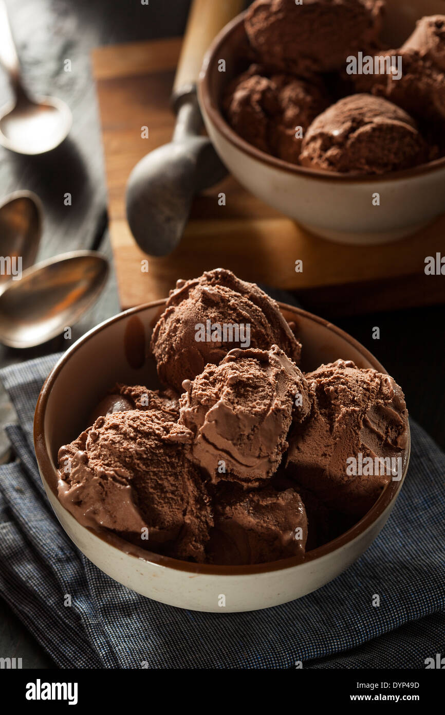 Homemade Dark Chocolate Ice Cream in a Bowl Stock Photo