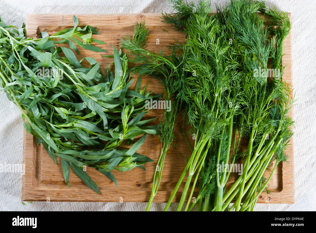 Fresh tarragon and dill from the vegetable garden, ready to be used