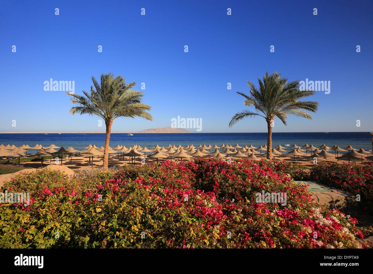 Beach in the resort of Sharm El Sheikh in Egypt Stock Photo