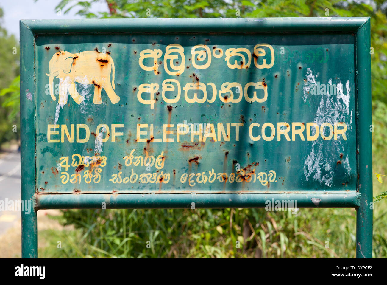 Elephant crossing sign in Dambulla, Sri Lanka 5 Stock Photo